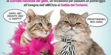 festa del gatto 2011 thumb