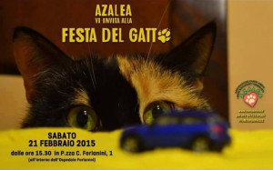 festadelgatto2015