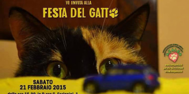 festadelgatto2015